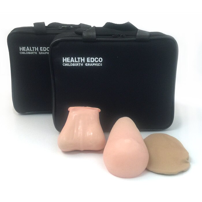 Teen BSE/TSE Model Kit, Beige | Health Edco Education Models