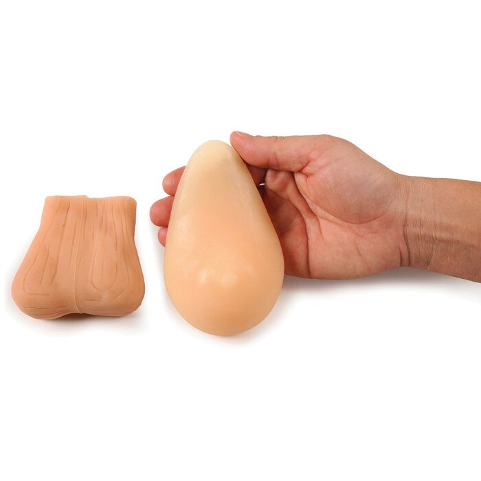 Teen BSE/TSE Model Kit, Beige | Health Edco Education Models