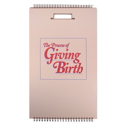 The Process of Giving Birth Flip Chart, childbirth education teaching bound chart set, cover, Childbirth Graphics, 43301