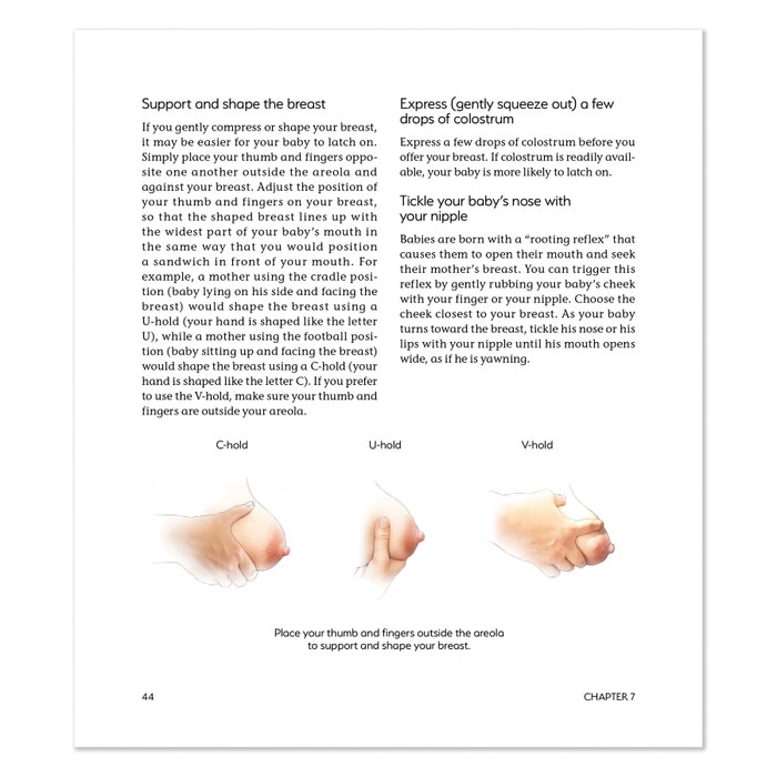 Breastfeeding: A Parent's Guide, 10th Edition, teaching illustrations showing breast support, Childbirth Graphics, 50035