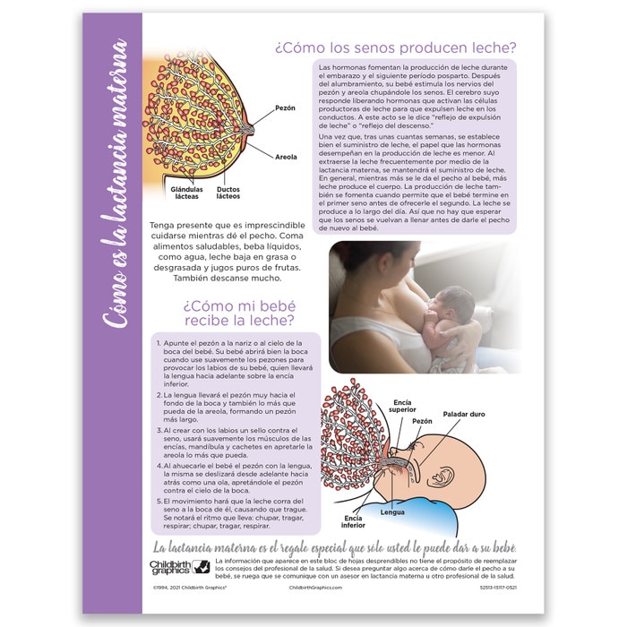 How Breastfeeding Works Tear Pad, Childbirth Graphics breastfeeding and lactation education handout, Spanish side, 52513