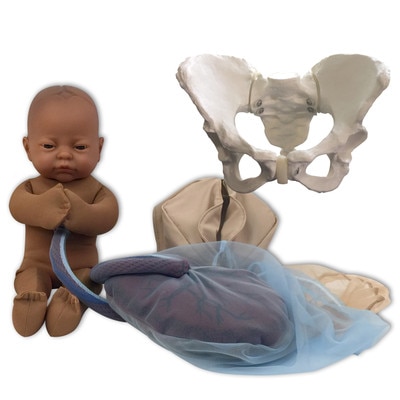 Childbirth Model Set with brown skin tone fetal model, pelvis, perineal cloth and placenta models, Childbirth Graphics, 78014