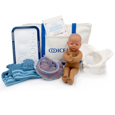 CEA Educator Tool Kit With Brown Fetal Model by Childbirth Graphics, childbirth educator resources and teaching tools, 78831