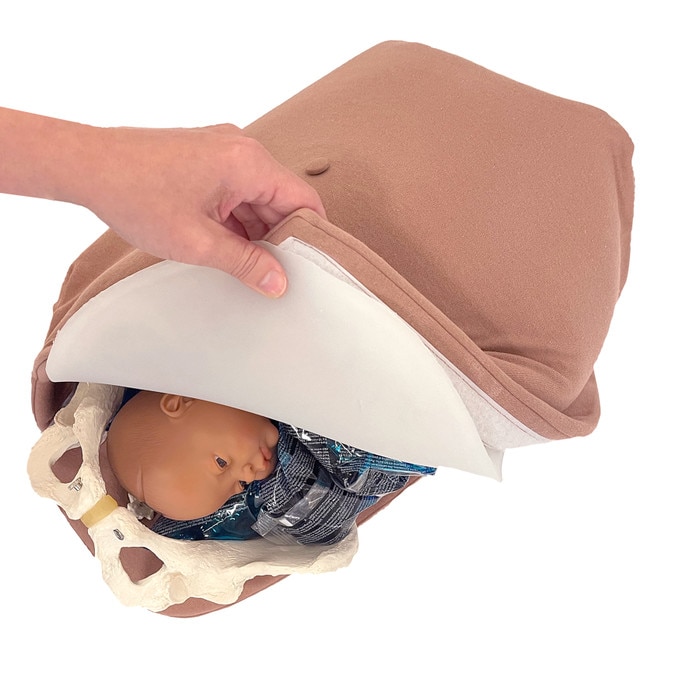 Abdominal Palpation Model Set, hand pulling back cover to show fetus and pelvis models inside, Childbirth Graphics, 78936