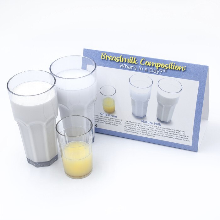 Breastmilk Composition: What's in a Day? Display, breastfeeding education teaching models, Childbirth Graphics, 78978