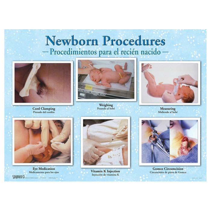 Newborn Chart Set (3), Newborn Procedures Chart with parenting education hospital photos, Childbirth Graphics, 90160