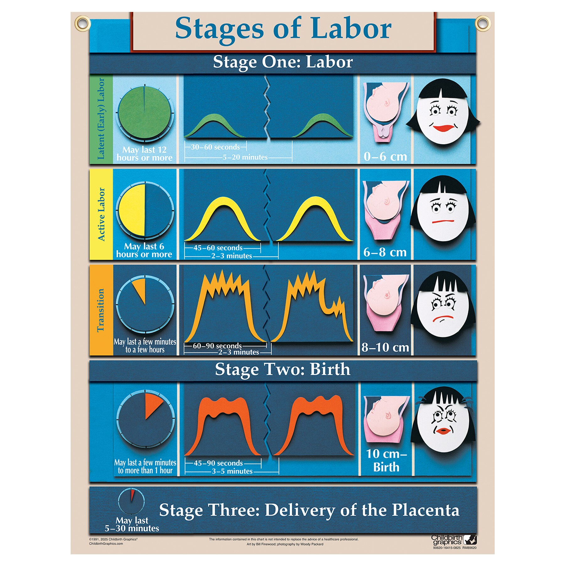 Stages Of Labor In Childbirth Chart | Childbirth Graphics