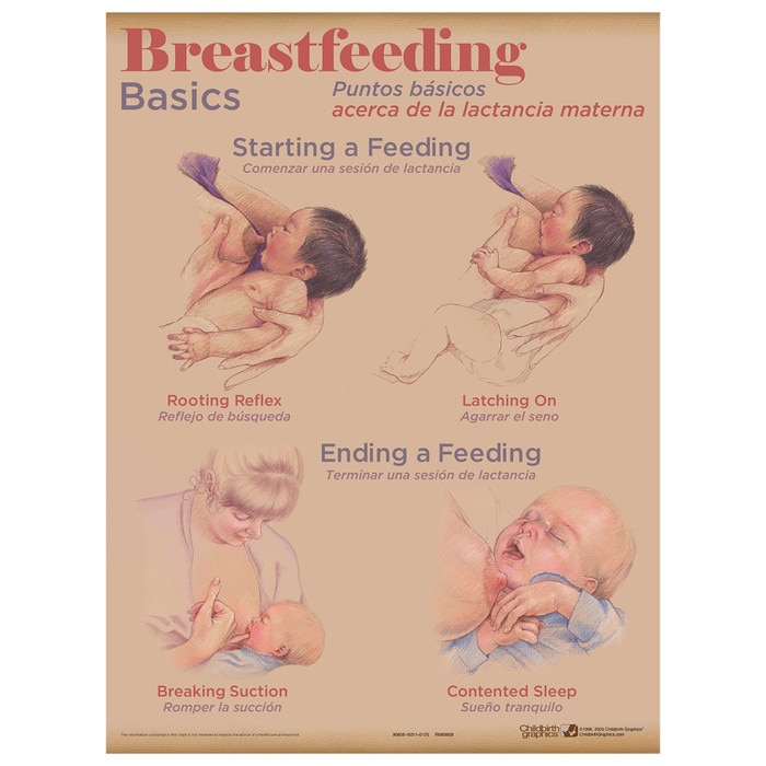 Breastfeeding Basics Chart, breastfeeding education chart in Breastfeeding Chart Set (8), Childbirth Graphics, 90809
