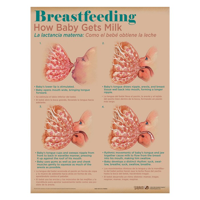 Breastfeeding: How Baby Gets Milk, breastfeeding education chart in Breastfeeding Chart Set (8), Childbirth Graphics, 90809