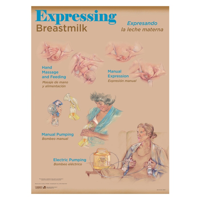 Breastfeeding Chart Set (8), illustrated expressing breastmilk hand massage manual pump electric pump, Childbirth Graphics, 90809